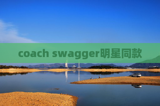 coach swagger明星同款